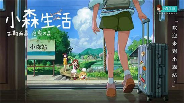 小森生活猫咪选美参加方法 小森生活怎么参加猫咪选美