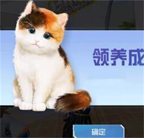 和平精英家园怎么养猫