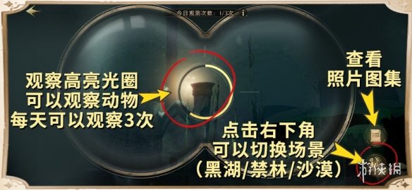 哈利波特魔法觉醒帐篷怎么使用