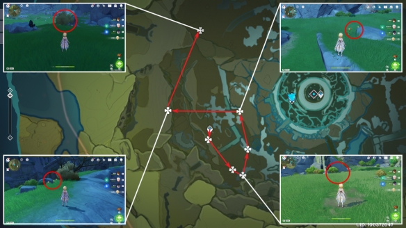《原神》3.8风车菊收集路线一览