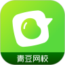 青豆网校app安卓版